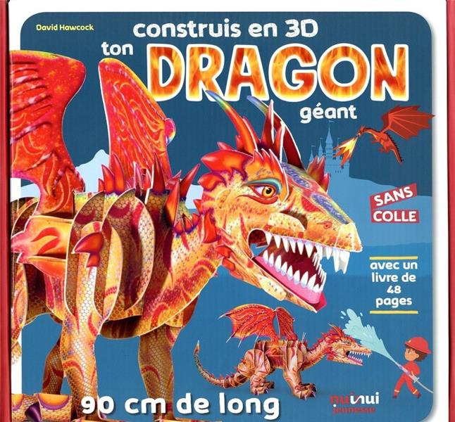 Construis en 3D : ton dragon géant - flash vidéo