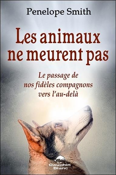 Les animaux ne meurent pas ; le passage de nos fidèles compagnons vers l'au-delà