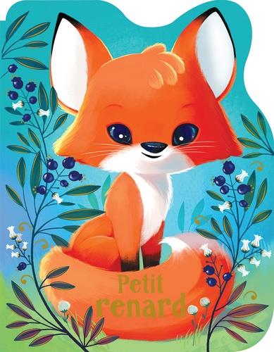 Petit renard - flash vidéo