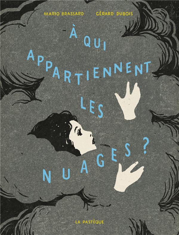 à qui appartiennent les nuages? - flash vidéo
