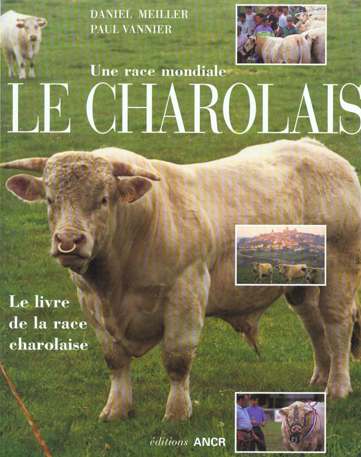 Le charolais