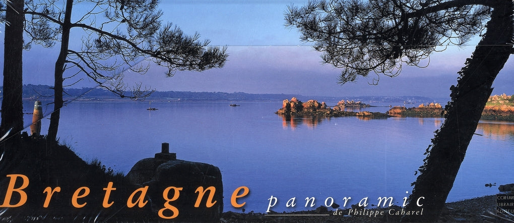 Bretagne panoramic - flash vidéo