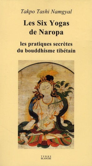 Les six togas de Naropa ; les pratiques secrètes du bouddhisme tibétain