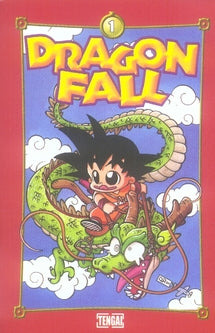 Dragon fall Tome 1 ; le principe