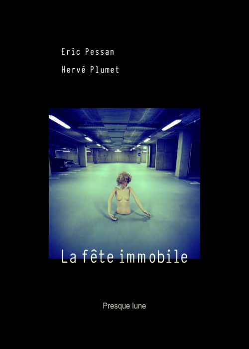 La fête immobile - flash vidéo