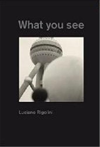 Luciano rigolini what you see
