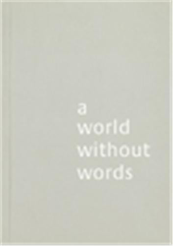Jasper morrison a world without words