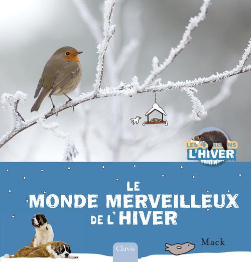 Le monde merveilleux de l'hiver - flash vidéo
