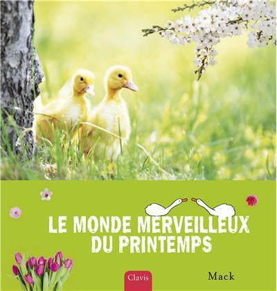 Le monde merveilleux du printemps - flash vidéo