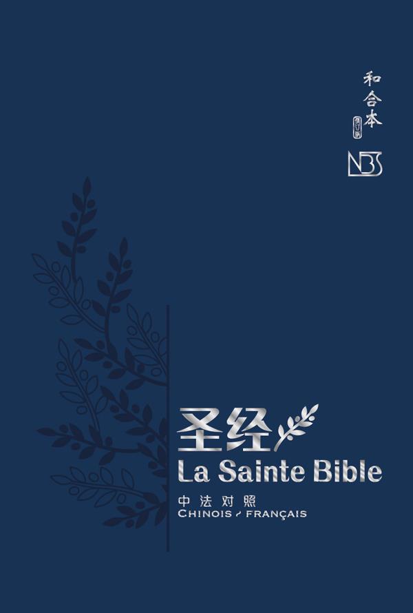 La Sainte Bible - flash vidéo