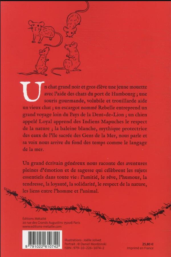 Bestiaire : cinq contes pour petits et grands