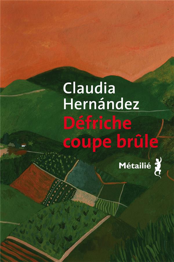 Défriche coupe brûle - flash vidéo