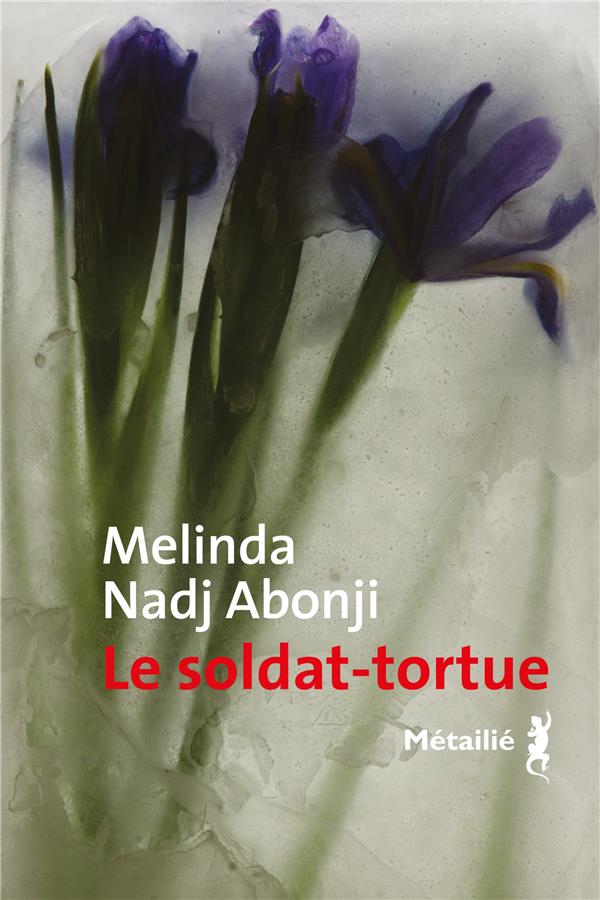 Le soldat-tortue - flash vidéo