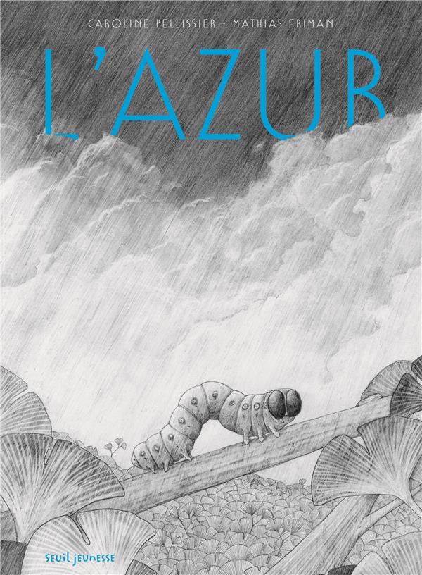 L'azur - flash vidéo