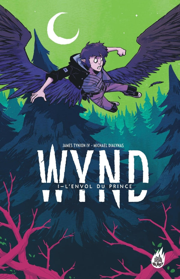 Wynd Tome 1 : L'envol du prince