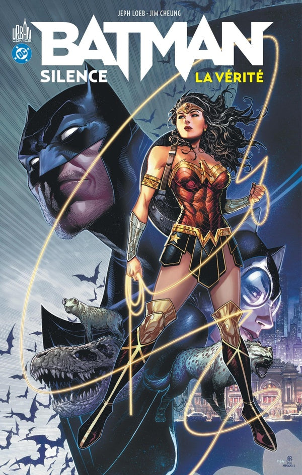 Batman - silence : La vérité