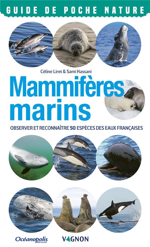 Mammifères marins ; observer et reconnaître 50 espèces des eaux françaises - flash vidéo