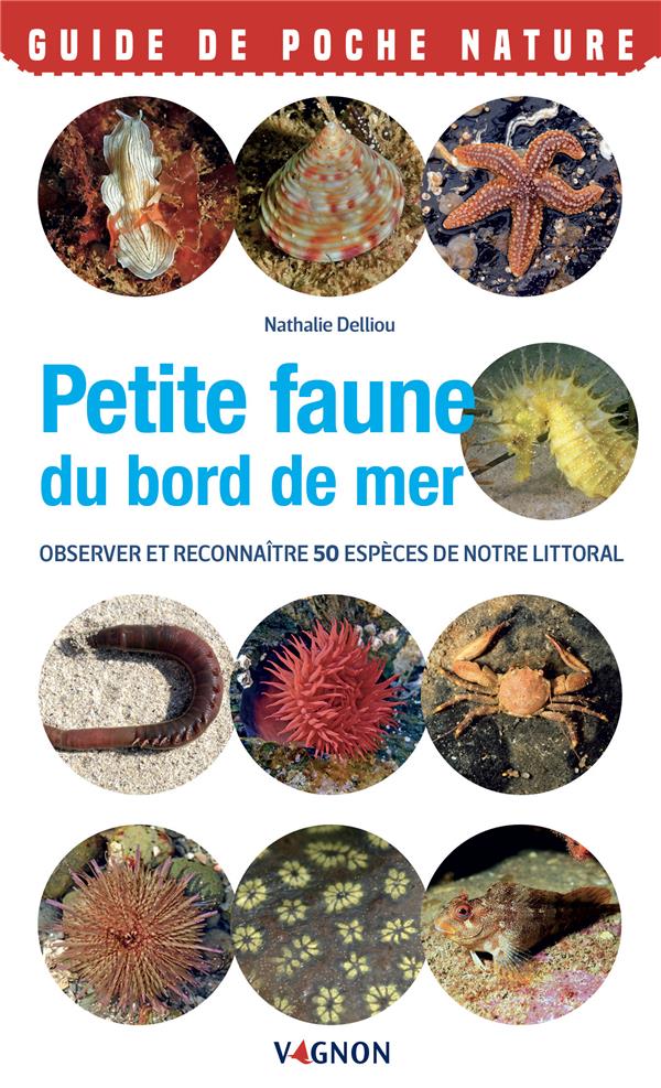 Petite faune du bord de mer : observer et reconnaitre 50 espèces de notre littoral - flash vidéo