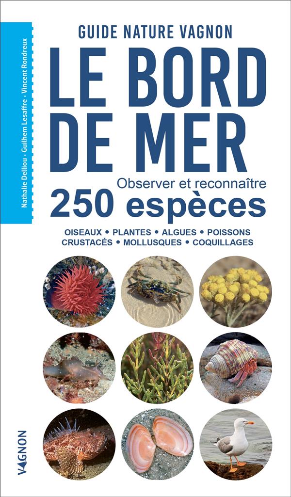 Guide nature : le bord de mer : observer et reconnaître 250 espèces - flash vidéo