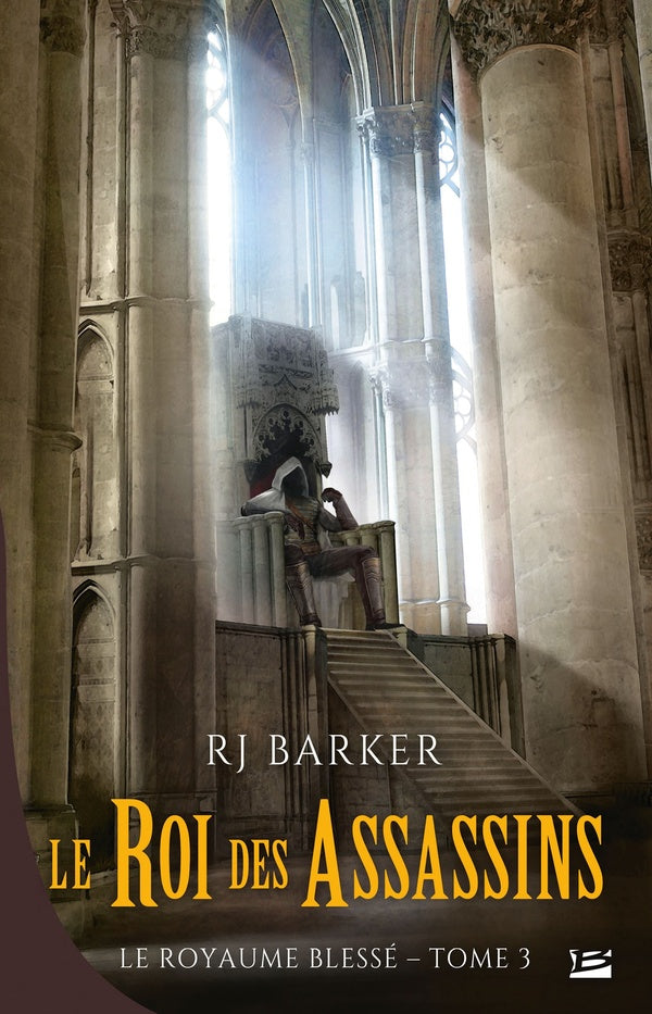 Le royaume blessé Tome 3 : le roi des assassins