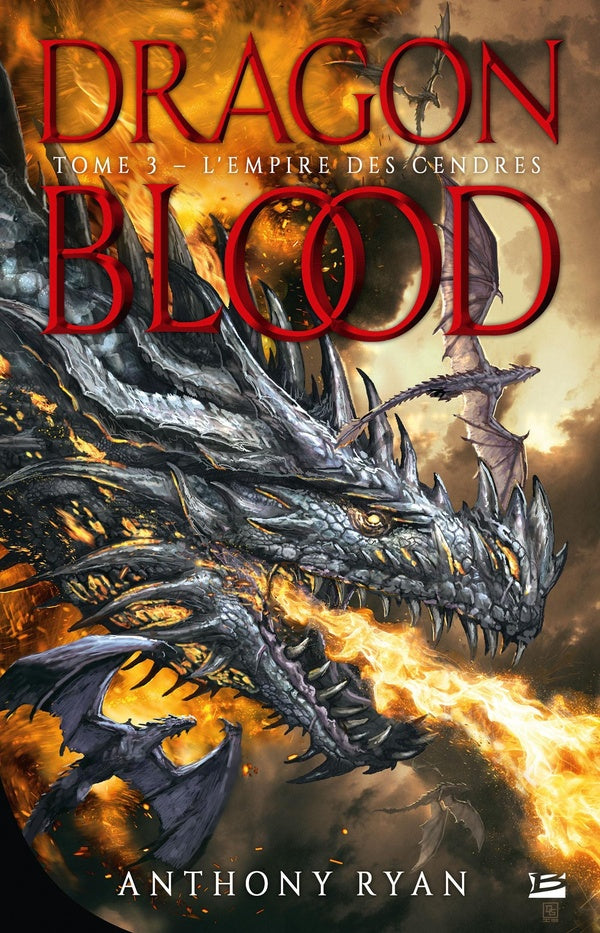 Dragon blood Tome 3 : l'empire des cendres