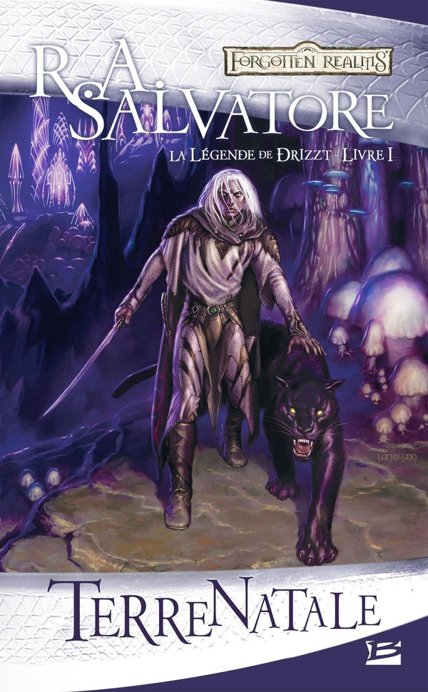 Les Royaumes Oubliés - la légende de Drizzt Tome 1 : terre natale