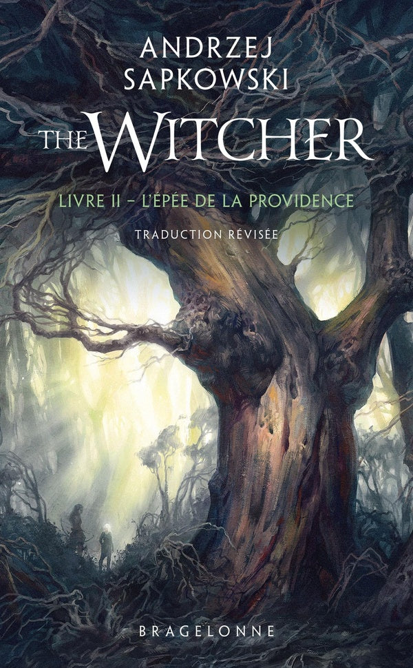 The Witcher (le sorceleur) Tome 2 : L'épée de la providence