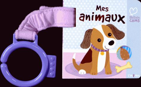 Mes animaux - flash vidéo