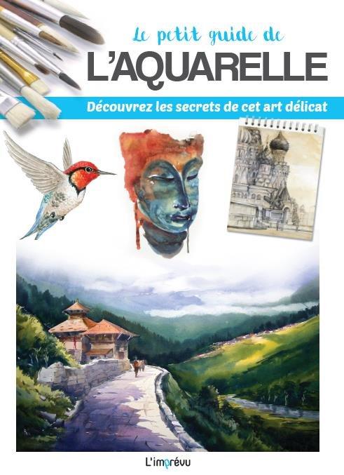 Le petit guide de l'aquarelle ; découvrez les secrets de cet art délicat - flash vidéo
