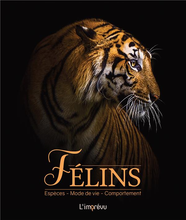 Félins : éspèces, mode de vie, comportement