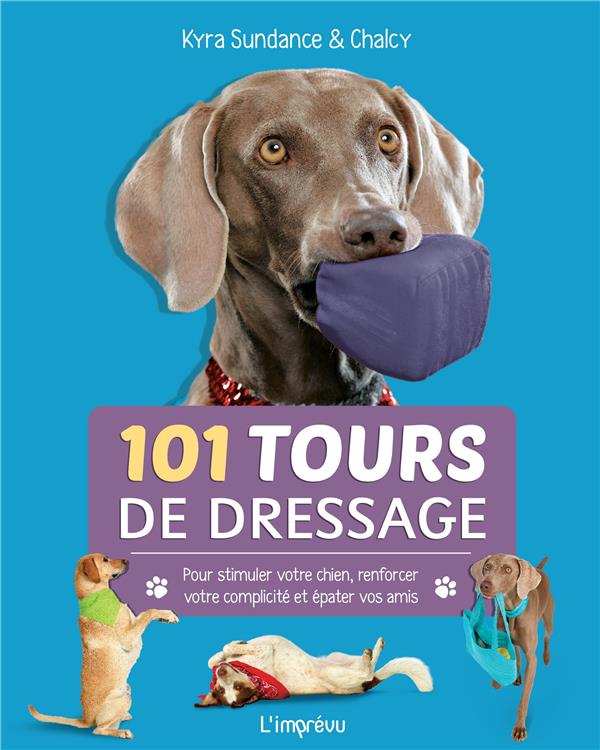101 tours de dressage ; pour stimuler votre chien, renforcer votre complicité et épater vos amis - flash vidéo