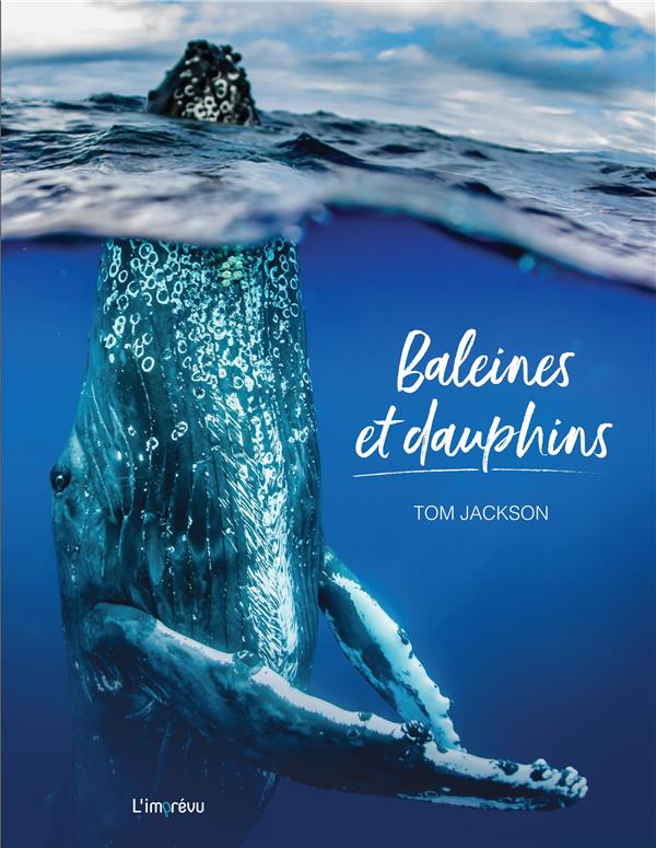 Baleines et dauphins - flash vidéo