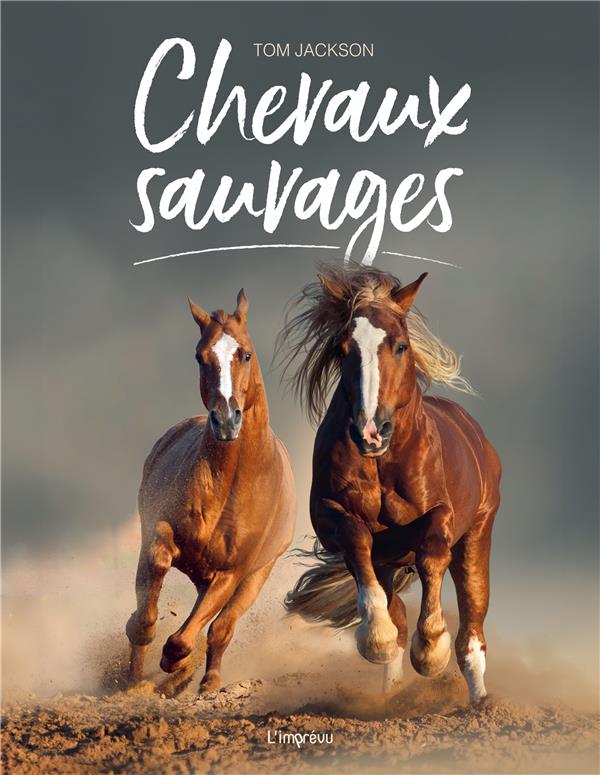 Les chevaux sauvages - flash vidéo