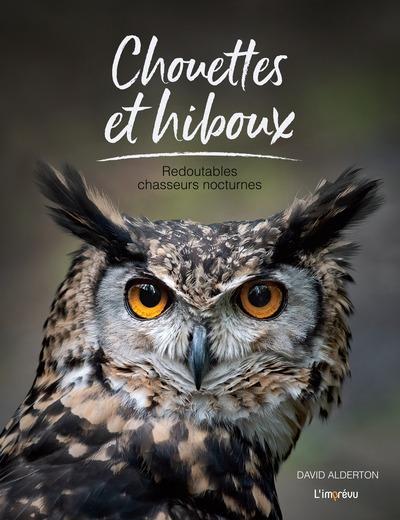 Chouettes et hiboux : Redoutables chasseurs nocturnes