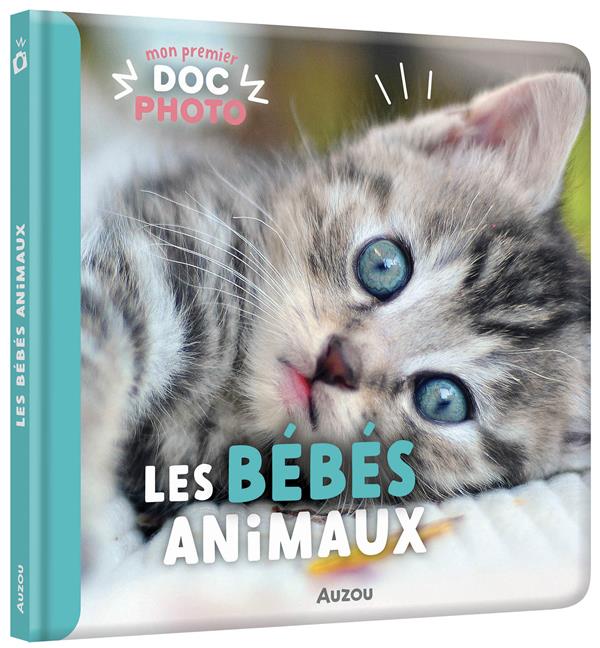 Mon premier doc photo : les bébés animaux - flash vidéo
