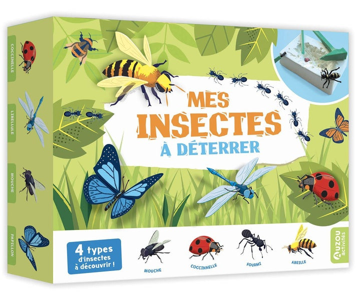 Mes insectes à déterrer - flash vidéo