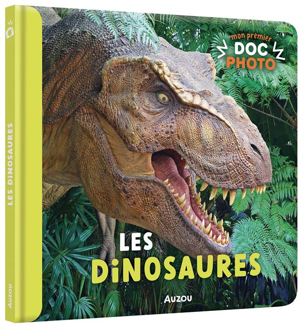 Mon premier doc photo : les dinosaures - flash vidéo