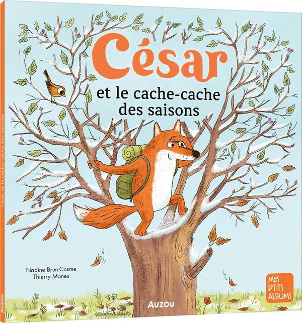 César et le cache-cache des saisons - flash vidéo