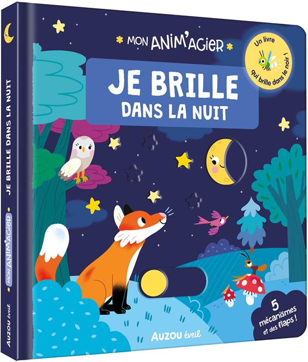 Mon anim'agier : Je brille dans la nuit - flash vidéo