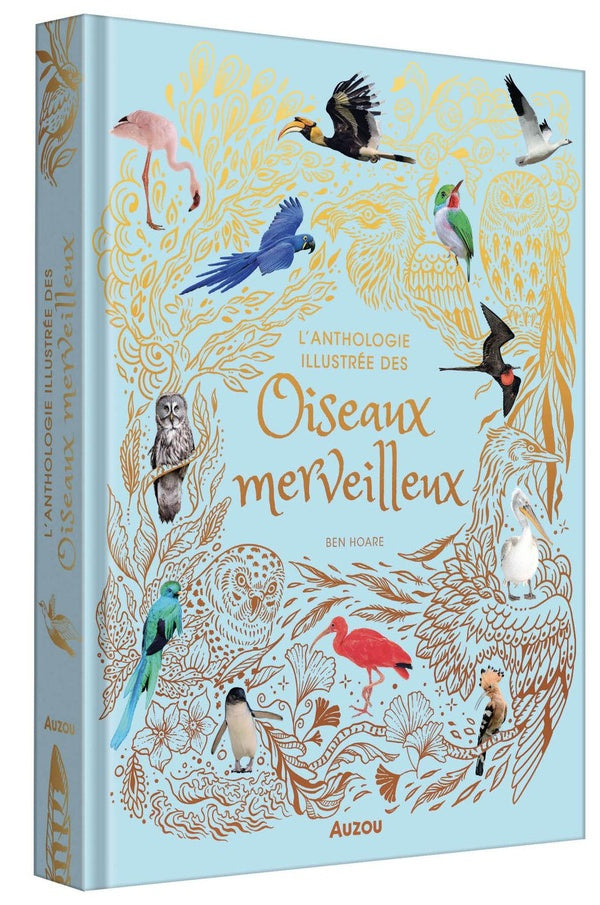 L'anthologie illustree des oiseaux merveilleux - flash vidéo