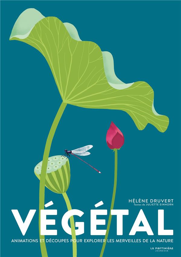 Végétal - flash vidéo