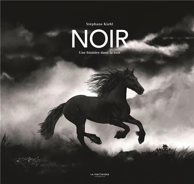Noir : une histoire dans la nuit - flash vidéo