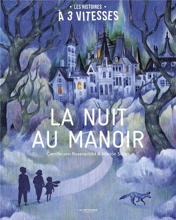 La nuit au manoir - flash vidéo