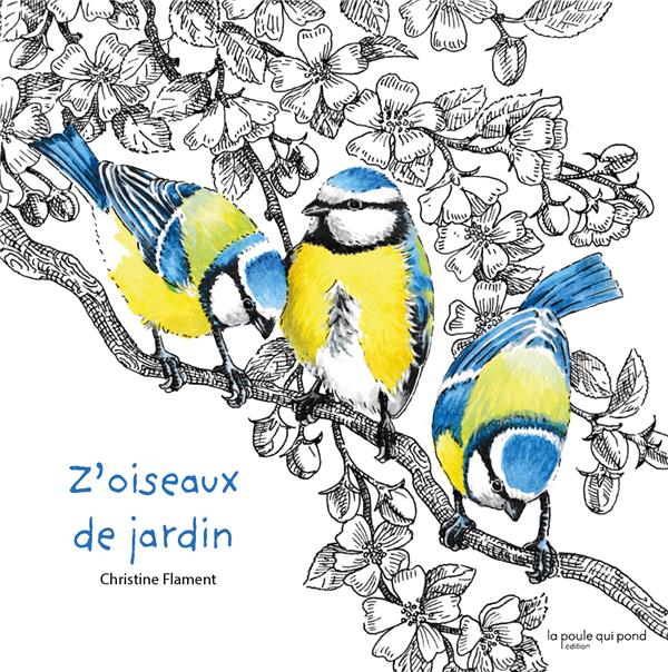 Z'oiseaux de jardin - flash vidéo