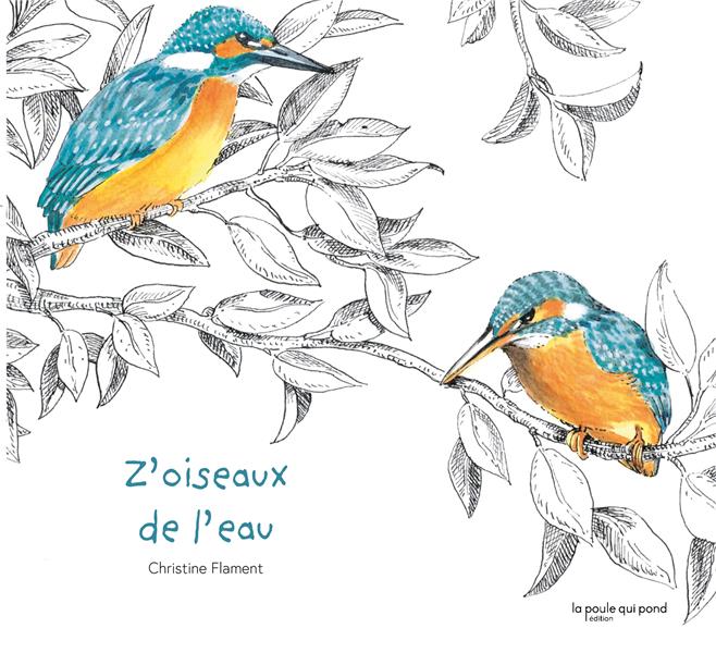 Z'oiseaux de l'eau - flash vidéo