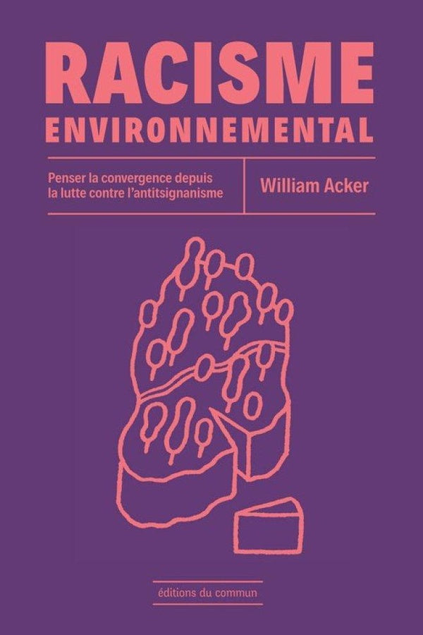 Racisme environnemental : Penser la convergence depuis la lutte contre l'antitsiganisme