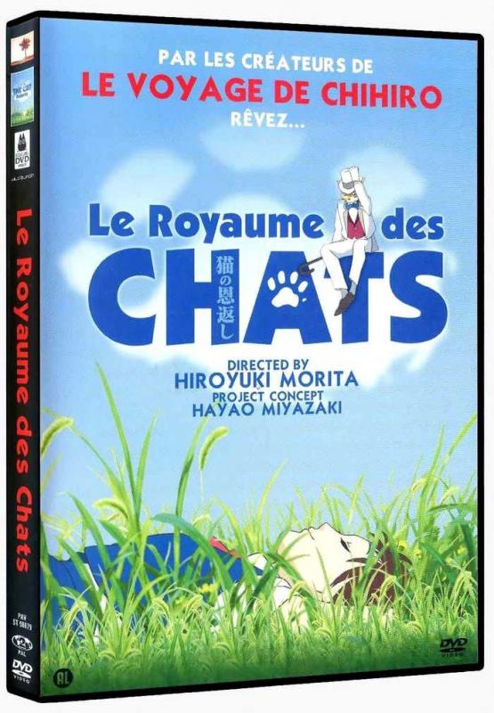 Le royaume des chats - flash vidéo