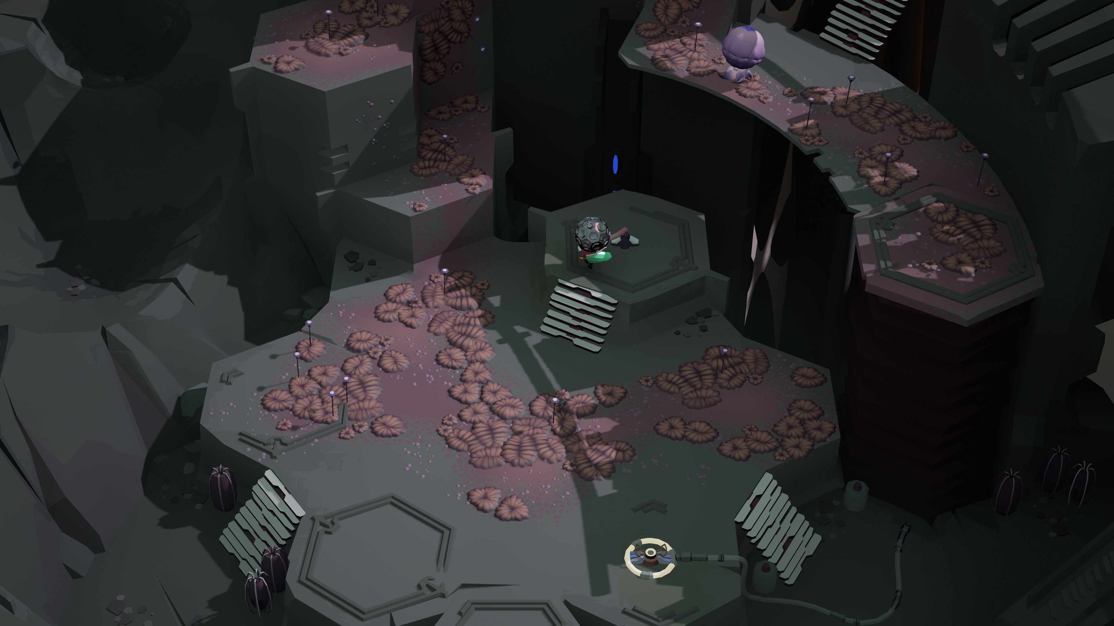 COCOON - flash vidéo