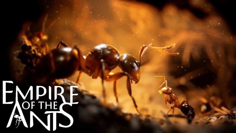 Empire of the Ants - Limited Edition - flash vidéo