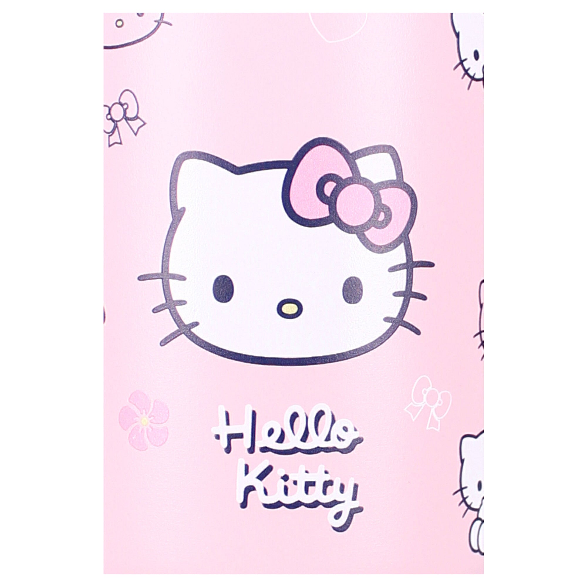 Hello Kitty - Gourde Bottled Bliss 900ml